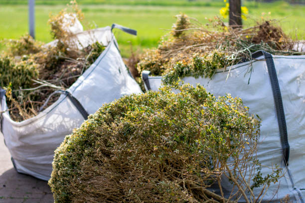 Best Basement Cleanout Services  in Lansdowne, PA